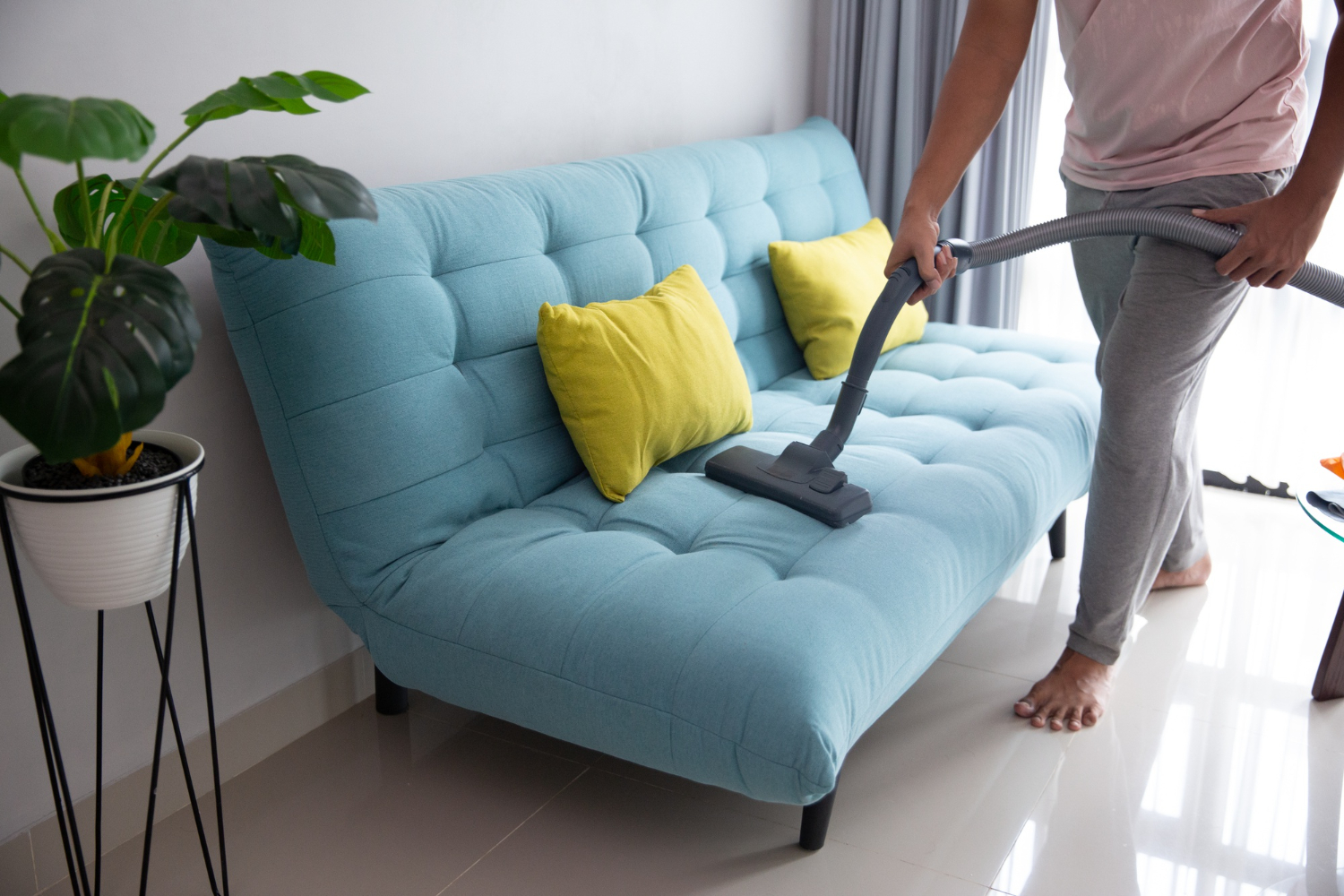 Sofa cleaning